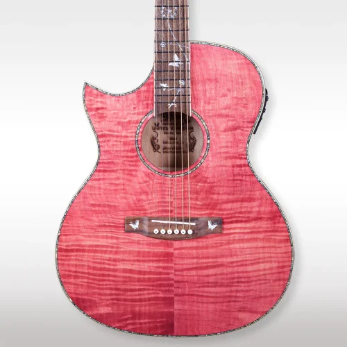 Lindo Left Handed Dandelion Electro Acoustic Guitar New