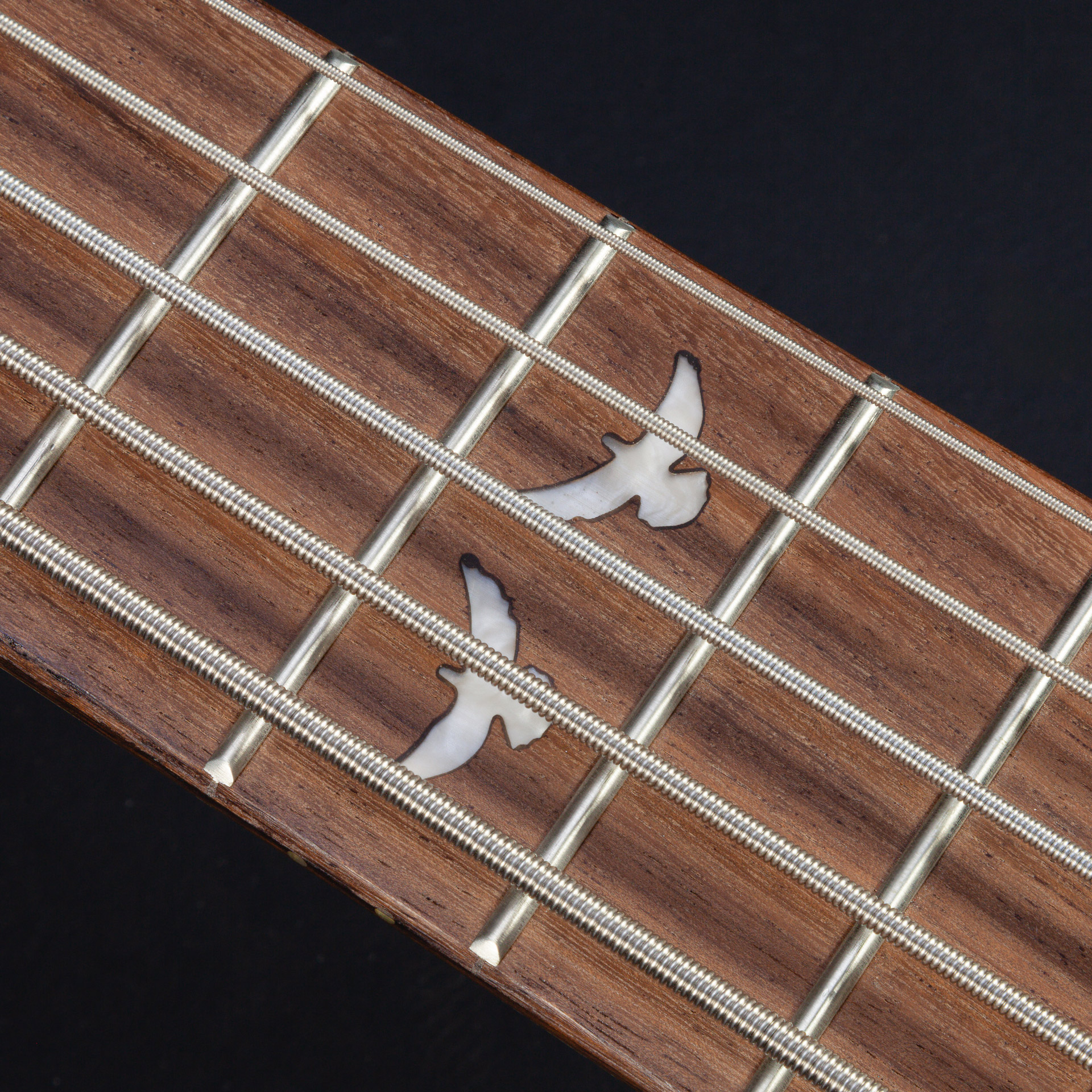 Lindo-PDB5-V2-5-String-Electric-Bass-Guitar-Inlays2