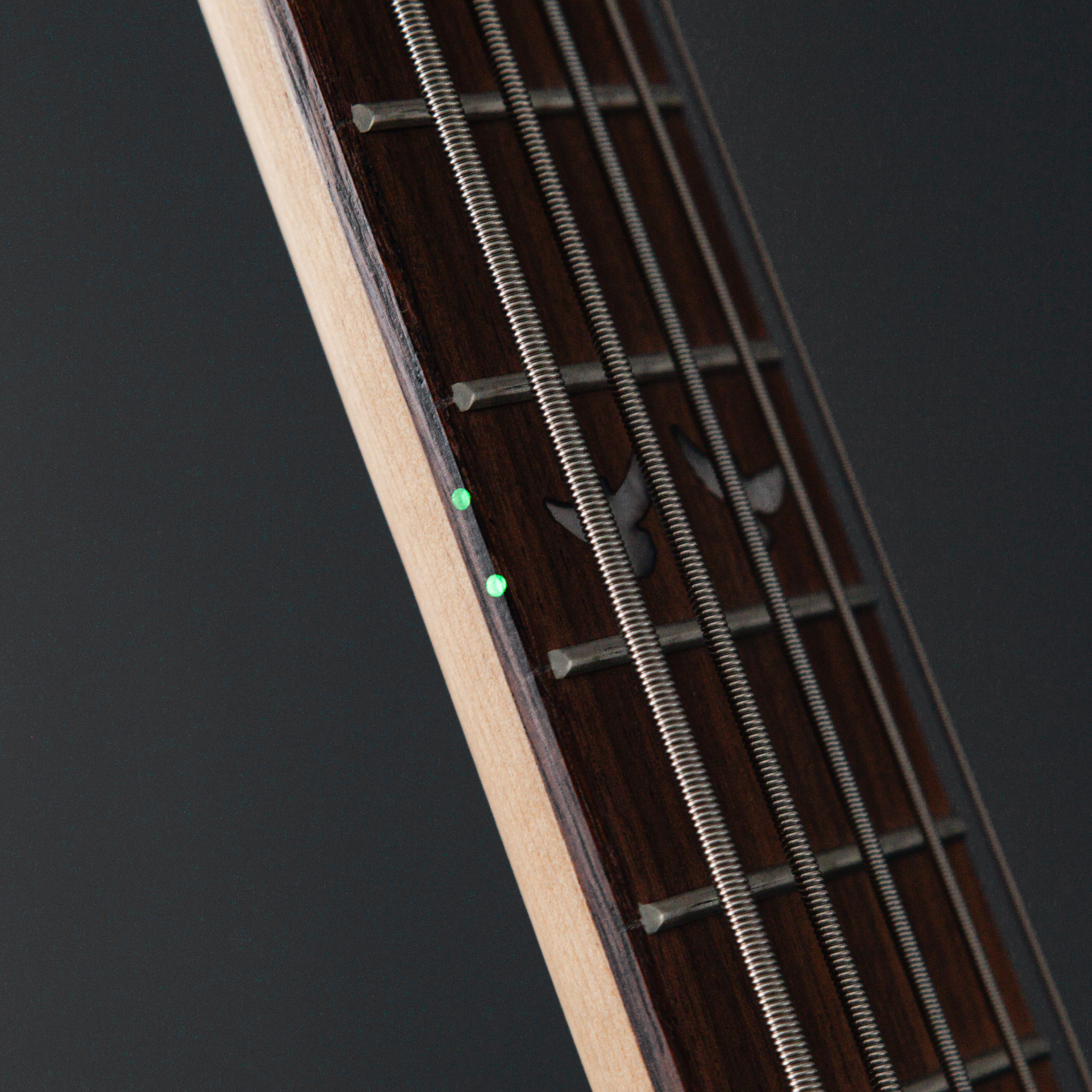 Lindo-PDB5-V2-5-String-Electric-Bass-Guitar-Luminlays